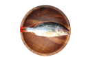 Farm Snapper / Jenahar Kolam