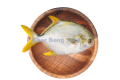 Silver Pomfret / 金 昌
