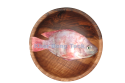 Red Tilapia Fish / 红 非 洲 鱼