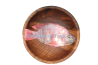Red Tilapia Fish / 红 非 洲 鱼
