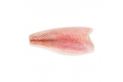 Siakap / 食 甲