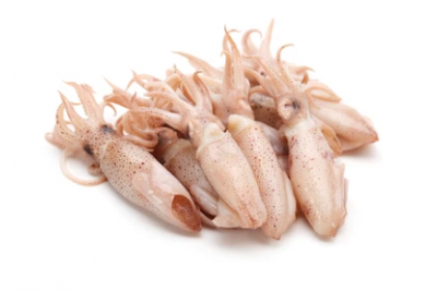 Sotong Kecil / Small Squid / 苏东珠