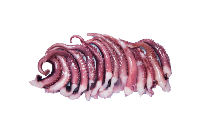 Squid / 苏 东