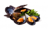 Black Mussel / 黑蚝