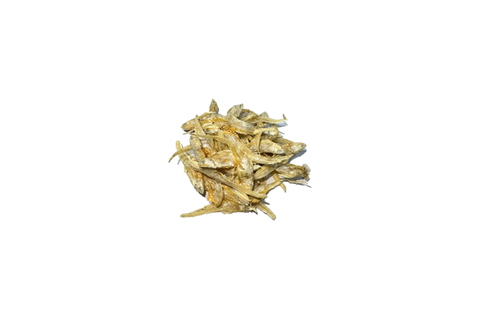 IKAN MASIN BULU AYAM / 凤 尾