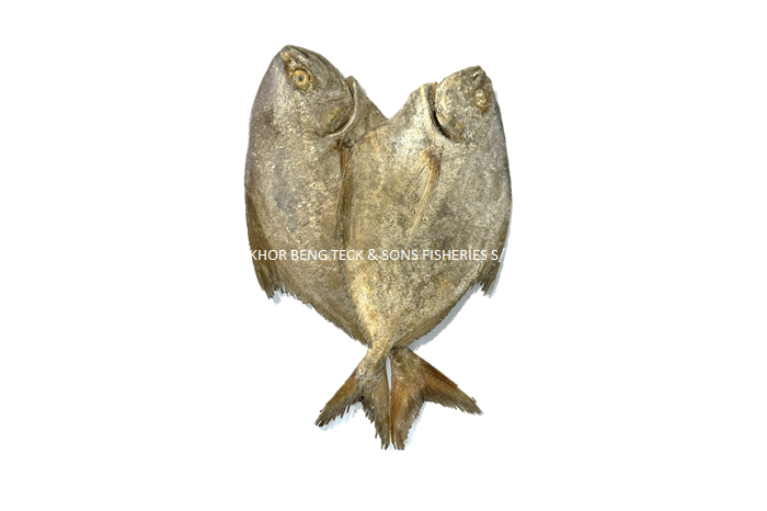 Salted Gelama Fish
