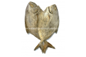 Salted Gelama Fish