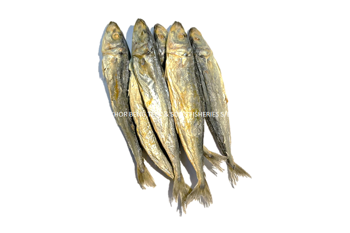 Salted Gelama Fish