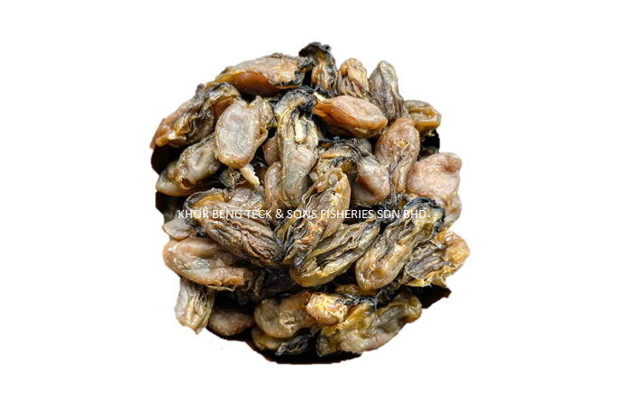 DRIED SCALLOP / 干贝
