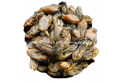 DRIED SCALLOP / 干贝