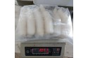 Sotong Tube  / Squid Headless  / 鱿鱼筒