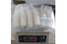 Sotong Tube  / Squid Headless  / 鱿鱼筒