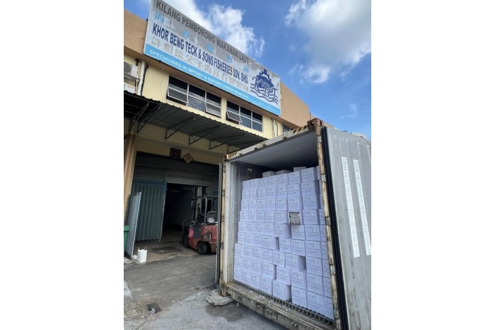 Western King Prawn / 野生明虾