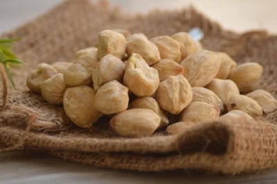 Candlenut (Buah Keras)