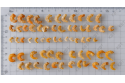 Dried Shrimps (Standard)
