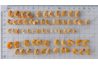 Dried Shrimps (Standard)