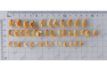 Dried Shrimps (Medium/Small)
