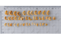 Dried Shrimps (Medium/Small)