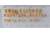 Dried Shrimps (Medium/Small)
