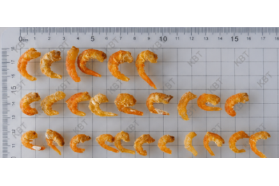 Dried Prawn 01  虾 米
