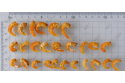 Dried Shrimps (Premium Jumbo)
