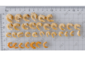 Dried Shrimps (Selected Large)