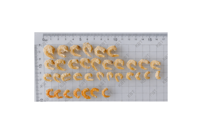 Dried Shrimps (Selected Large)