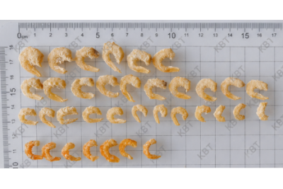 Salty Prawn 咸 虾 米