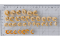Dried Shrimps (Salty)  咸 虾 米