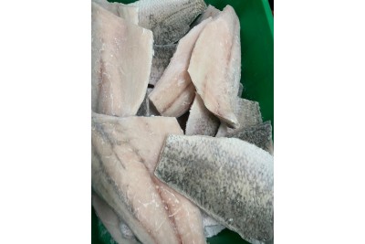 Sea Bass Fillet / 食甲鱼肉片