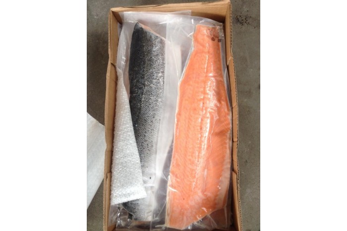 Salmon Fish Fillet
