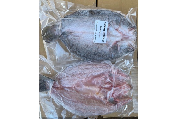 Ikan Siakap / Sea Bass / 食 甲 鱼