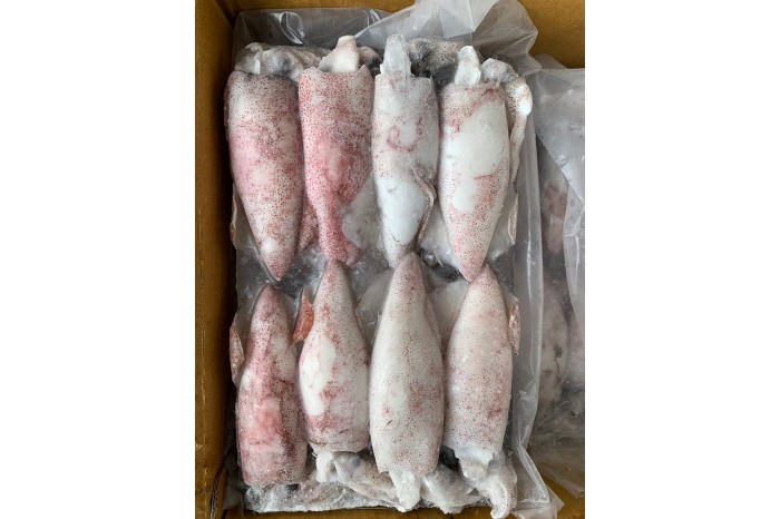 Frozen Whole Squid / 冷 冻 苏 东
