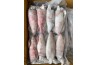 Frozen Whole Squid / 冷 冻 苏 东