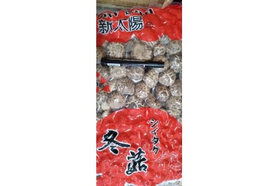 MUSHROOM / CENDAWAN / 香菇