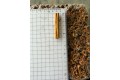 Clove (Cengkih)
