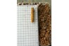 Clove (Cengkih)