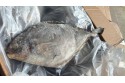 Bawal Hitam / Black Pomfret / 黑昌