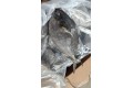 Bawal Hitam / Black Pomfret / 黑昌