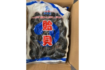 Kupang Hitam / Black Mussel / 黑蚝
