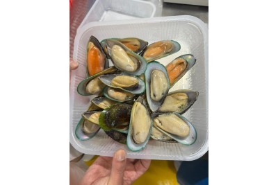 Kupang Hijau / Green Mussel / 青蚝
