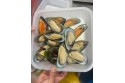 New Zealand Half Shell Green Mussel 纽西兰半壳青蚝