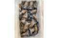 Western King Prawn 野生明虾