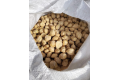 Candlenut (Buah Keras)