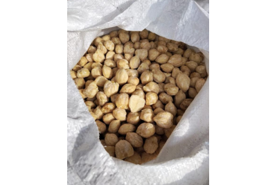 Candlenut (Buah Keras)