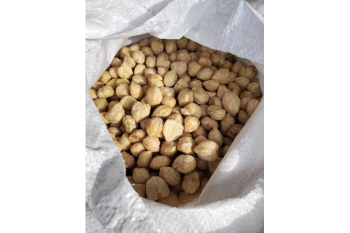 Candlenut (Buah Keras)