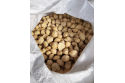 Candlenut (Buah Keras)
