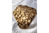 Candlenut (Buah Keras)