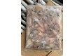 Sotong Kecil / Small Squid / 苏东珠