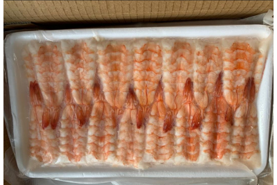 Frozen Sushi Ebi Shrimp 3L [30PCS/TRAY]